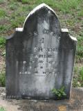 image of grave number 880762